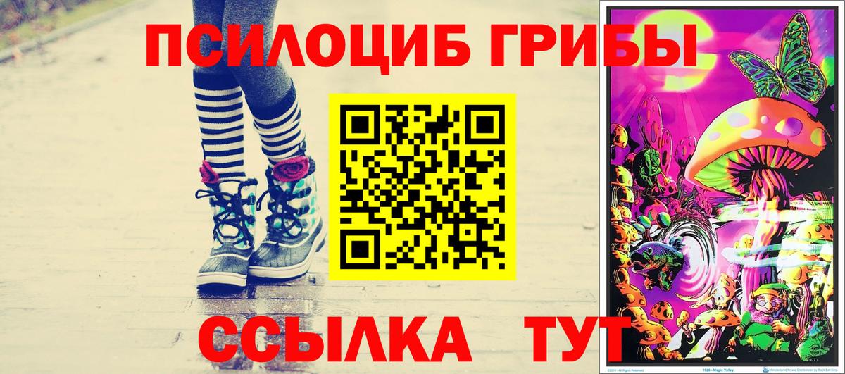 как найти закладки  Псилоцибиновые грибы Psilocybe  Вход с VPN  Череповец 